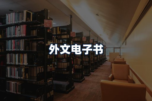 外文电子书